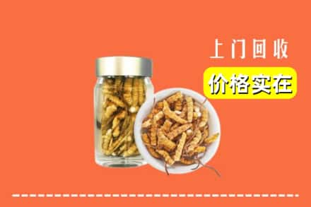 收购资讯:抚州市南丰回收散虫草