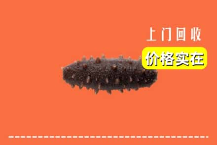 收购资讯:抚州市南丰回收海参