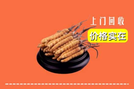 抚州市南丰回收冬虫夏草